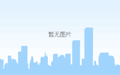 技术安全部